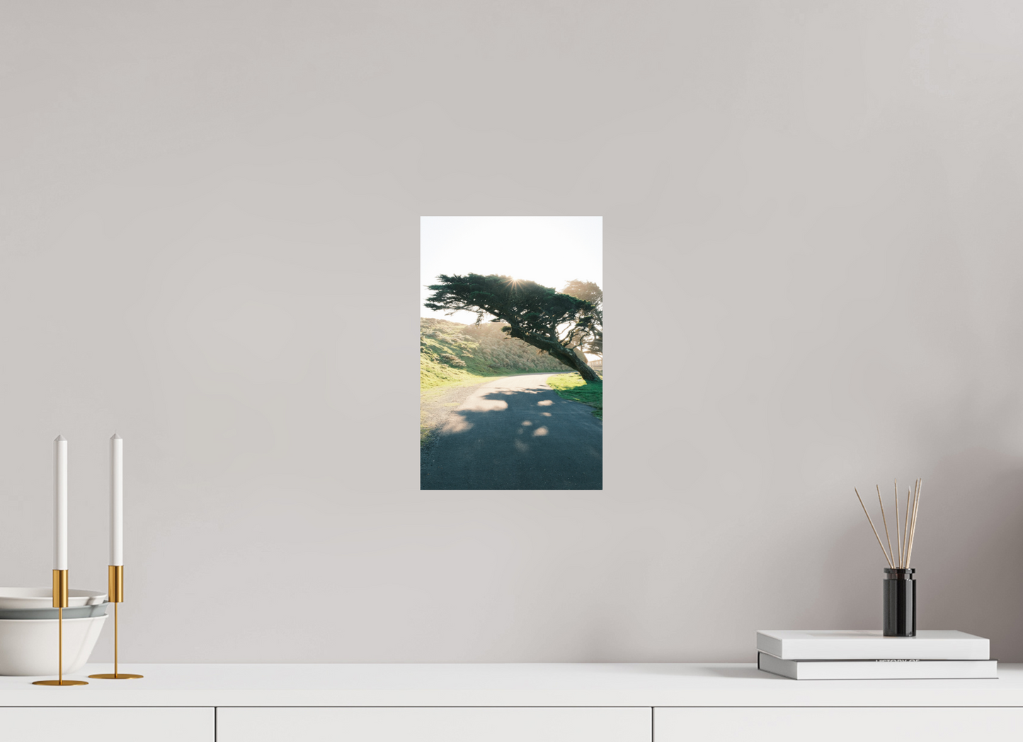 8 x 12″, Photo Print On Fuji Crystal DP II Point Reyes Leaning Cyprus