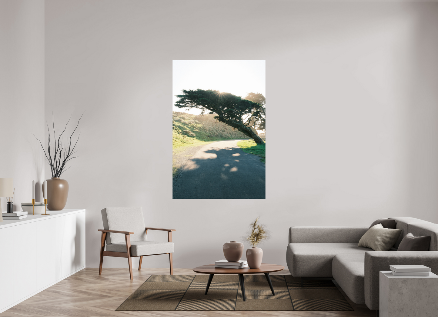 44 x 66″, Photo Print On Fuji Crystal DP II Point Reyes Leaning Cyprus