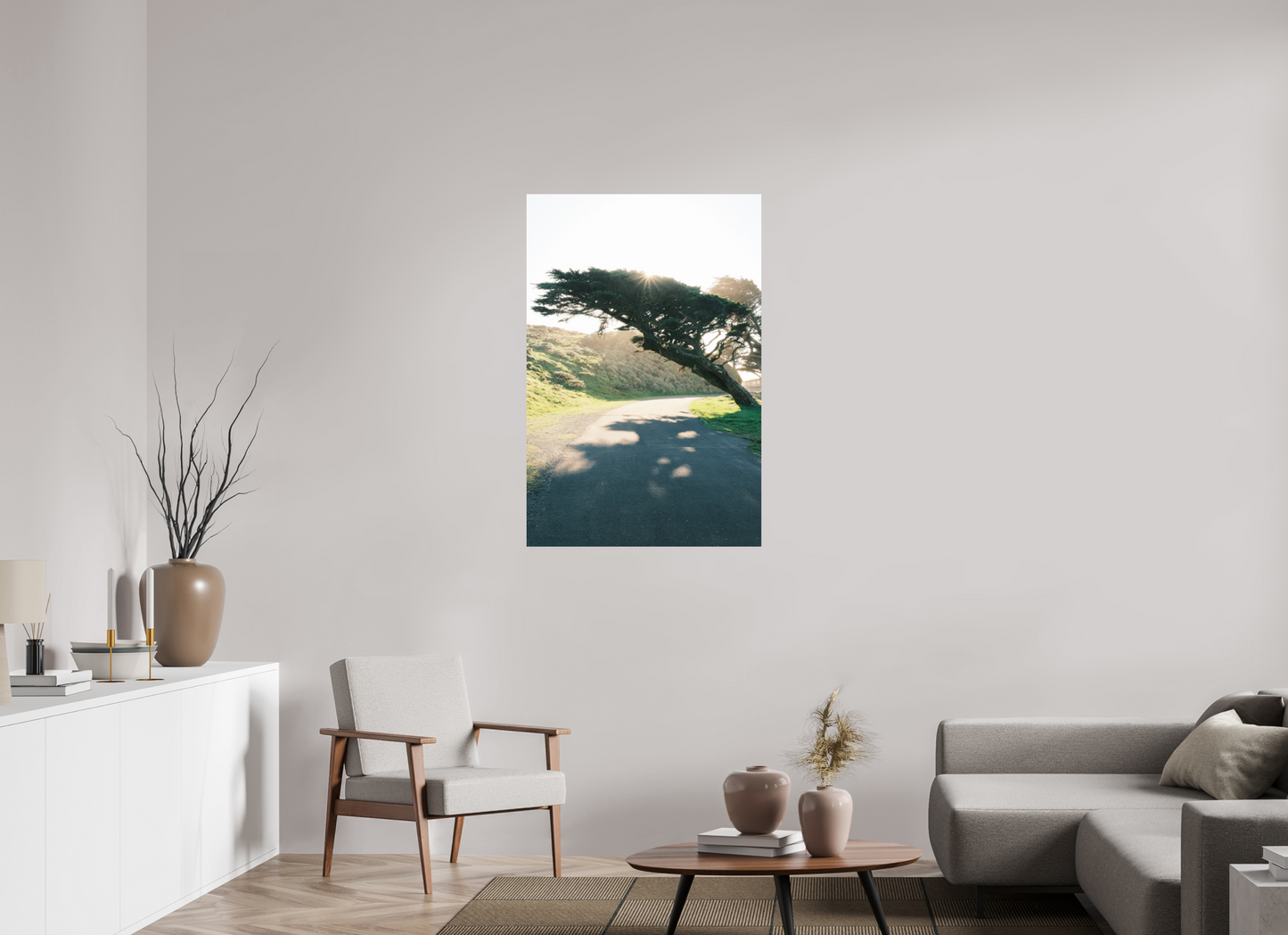 30 x 45″, Photo Print On Fuji Crystal DP II Point Reyes Leaning Cyprus