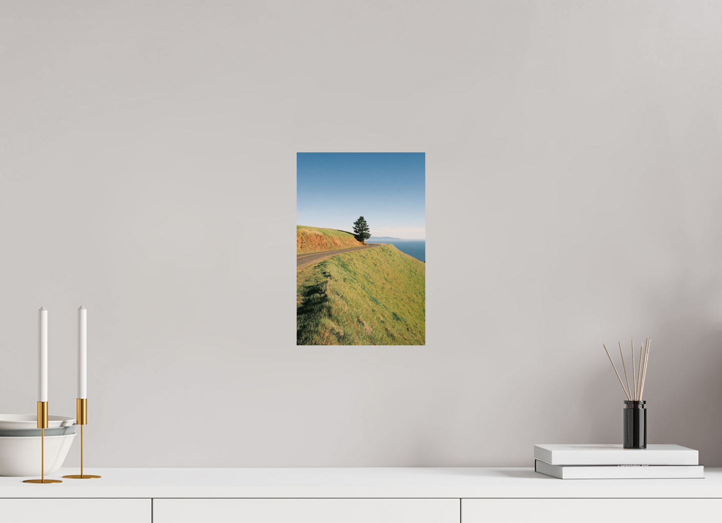 8 x 12″, Photo Print On Fuji Crystal DP II Mt. Tamalpais Tree