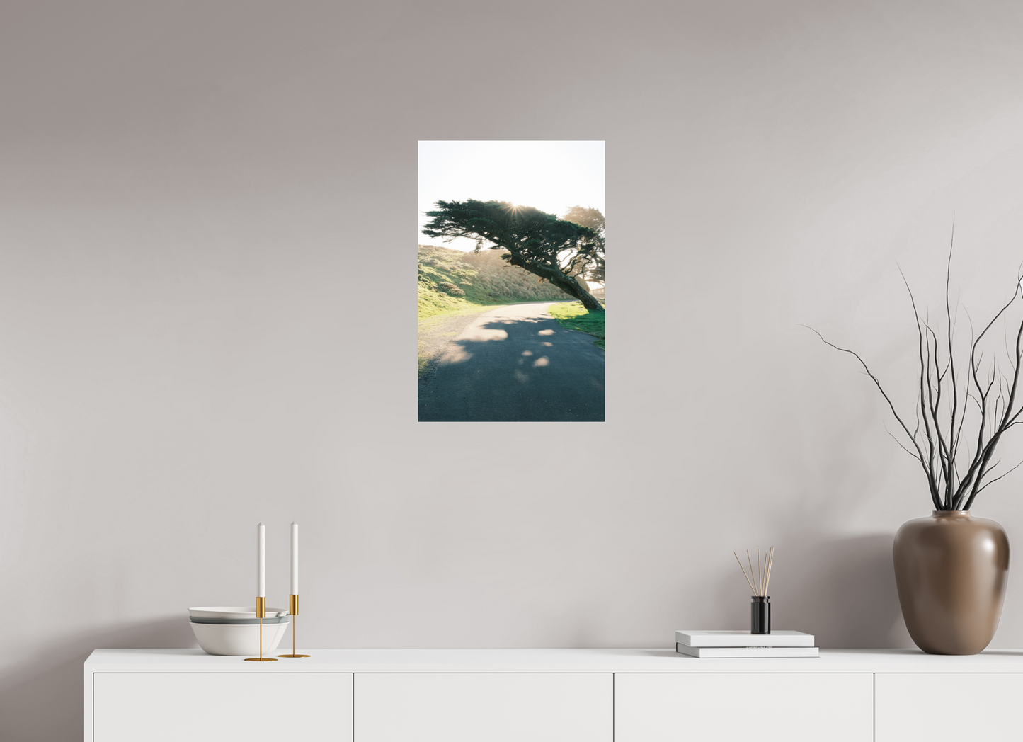 16 x 24″, Photo Print On Fuji Crystal DP II Point Reyes Leaning Cyprus