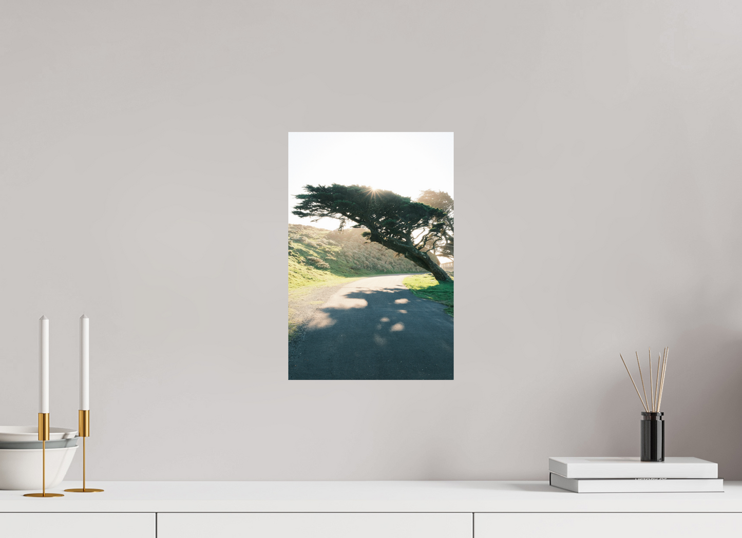 10 x 15″, Photo Print On Fuji Crystal DP II Point Reyes Leaning Cyprus