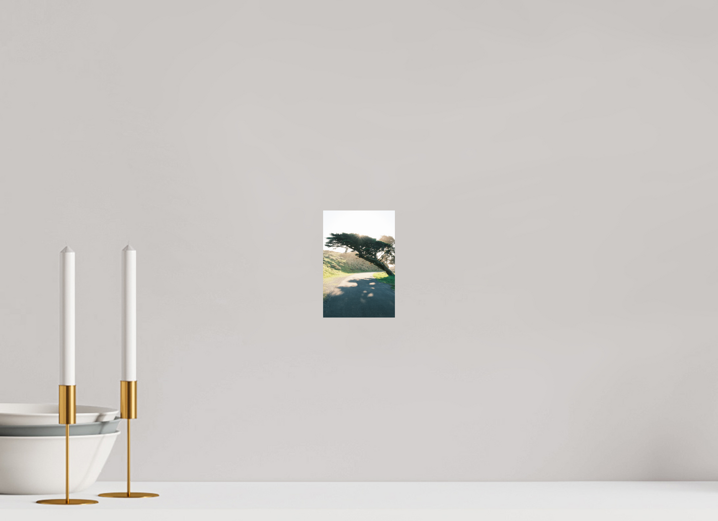 4 x 6″, Photo Print On Fuji Crystal DP II Point Reyes Leaning Cyprus