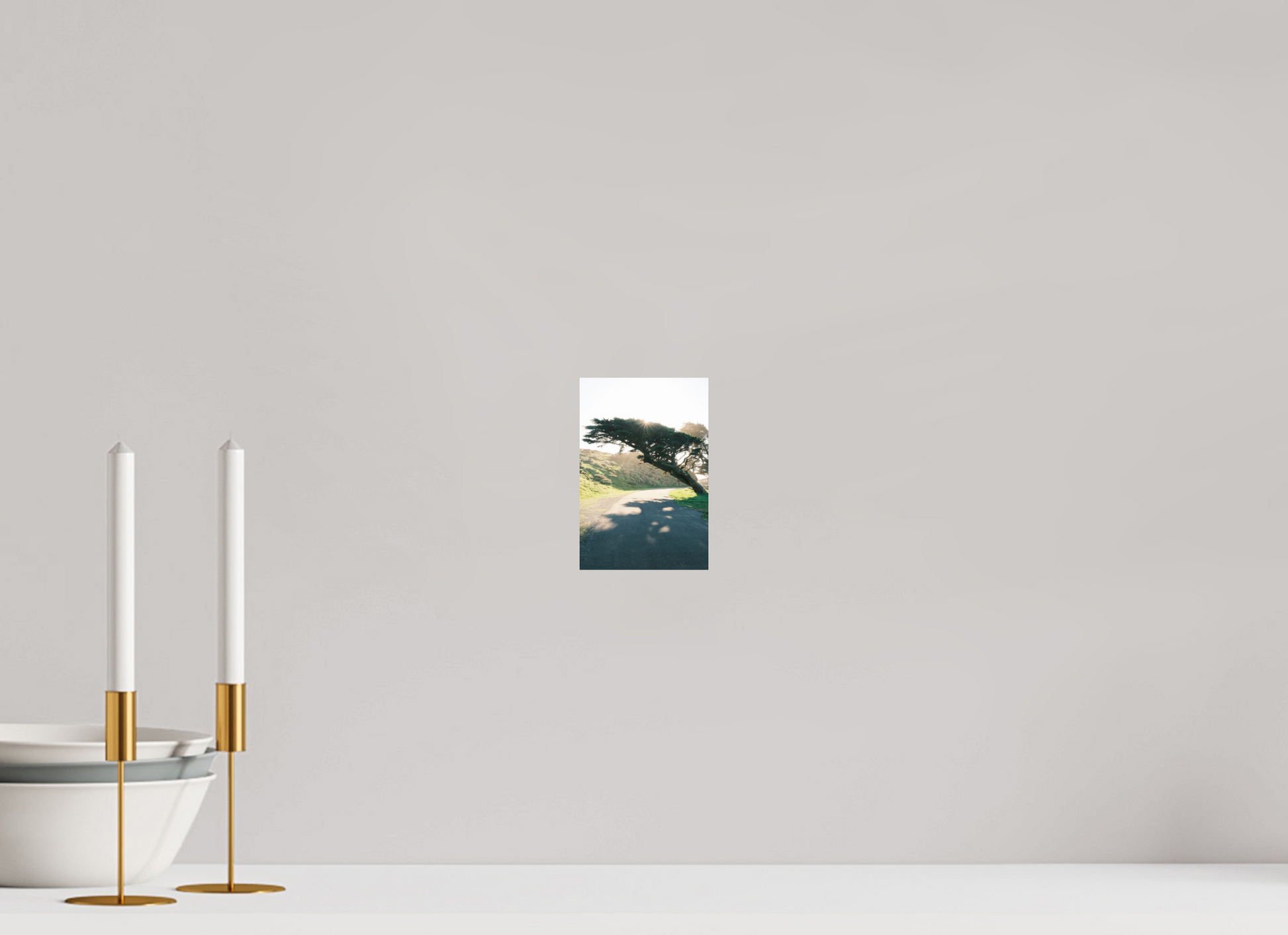 4 x 6″, Photo Print On Fuji Crystal DP II Point Reyes Leaning Cyprus