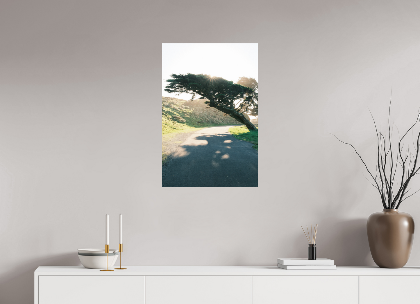 20 x 30″, Photo Print On Fuji Crystal DP II Point Reyes Leaning Cyprus