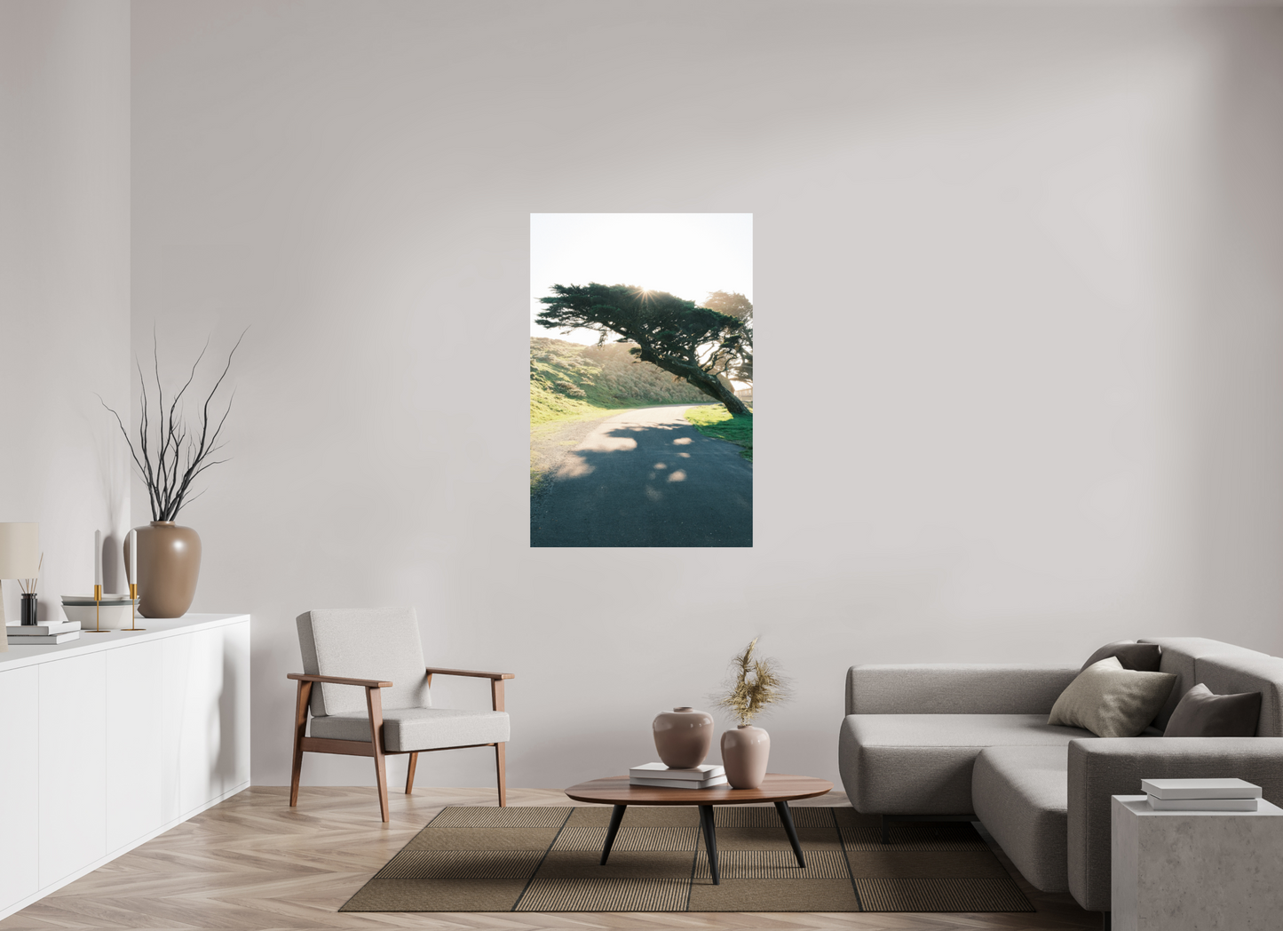 36 x 54″, Photo Print On Fuji Crystal DP II Point Reyes Leaning Cyprus